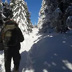 Zur Schmiede