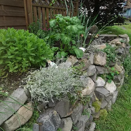 מלון Zur Schmiede 3*