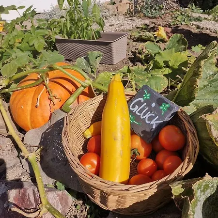 Zur Schmiede מלון אלטנאו