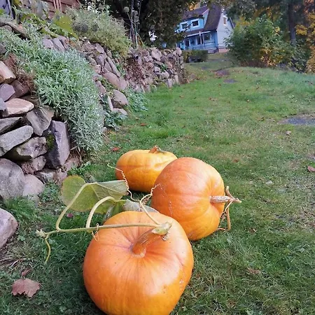 Zur Schmiede 3* Альтенау