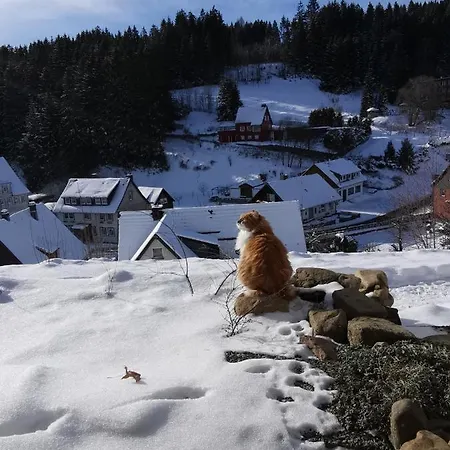 Zur Schmiede מלון אלטנאו