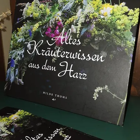 Zur Schmiede 3*