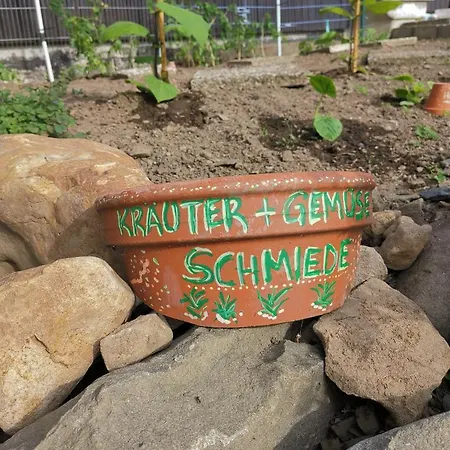 מלון Zur Schmiede 3*