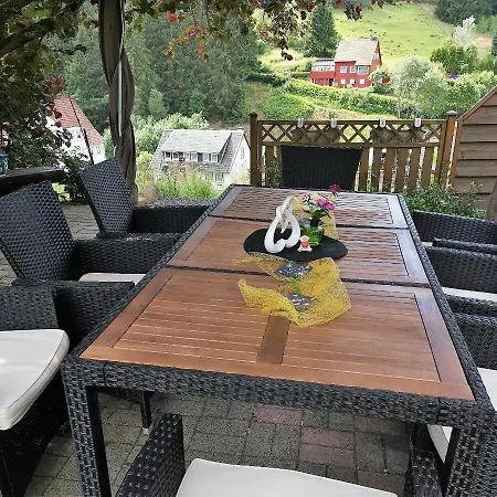 מלון Zur Schmiede 3*