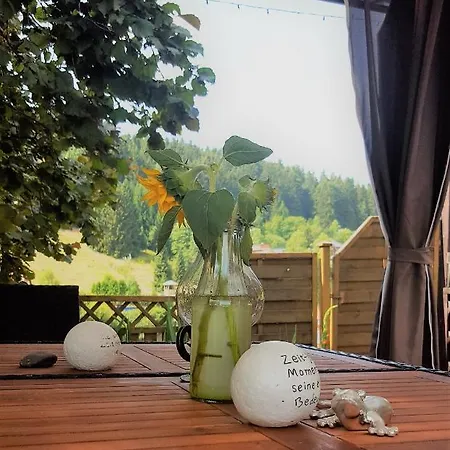 Zur Schmiede מלון 3*