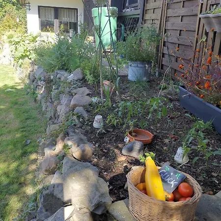 מלון Zur Schmiede