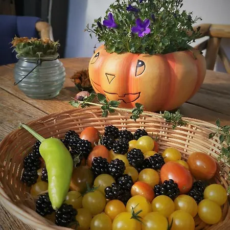 Отель Zur Schmiede Альтенау