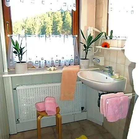 Hotel Zur Schmiede Altenau (Lower-Saxony)