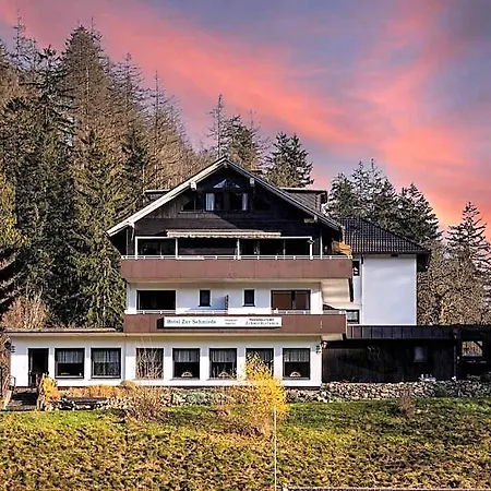 Hotel Zur Schmiede 3*