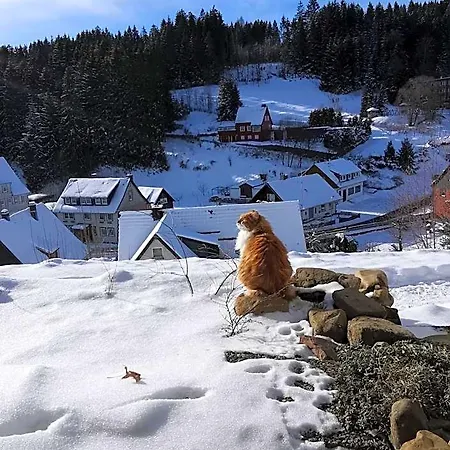 Hotel Zur Schmiede