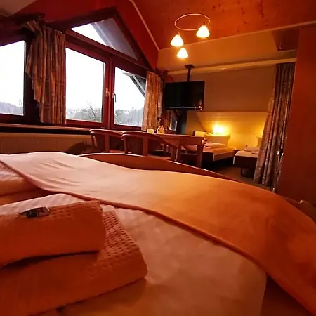 Hotel Zur Schmiede Altenau (Lower-Saxony)