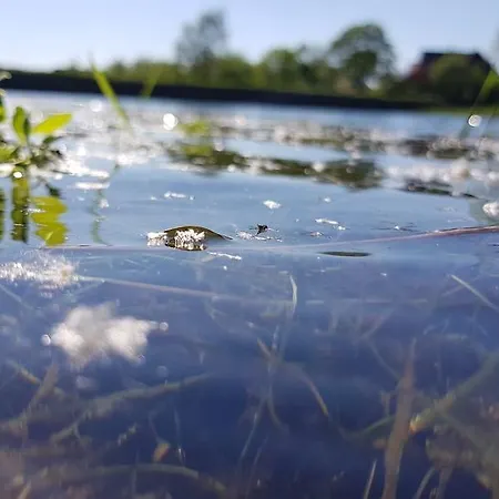 Zur Schmiede מלון 3*