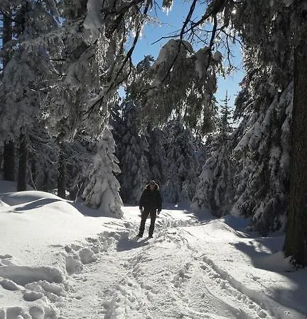 Zur Schmiede מלון אלטנאו