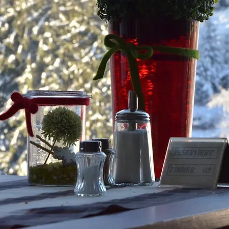 Zur Schmiede מלון 3*