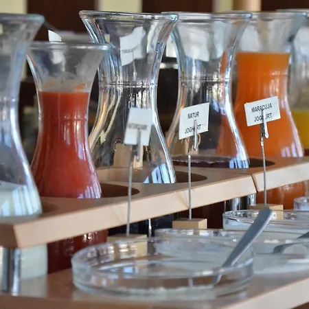 Zur Schmiede מלון