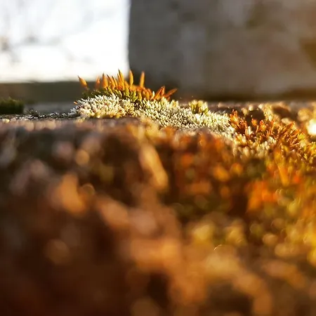 Zur Schmiede 3* Альтенау