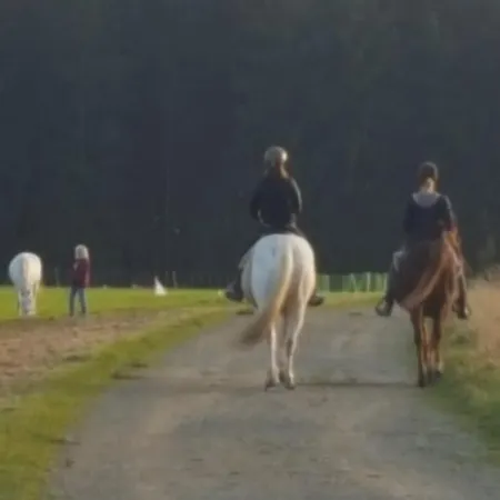 Zur Schmiede 3* אלטנאו