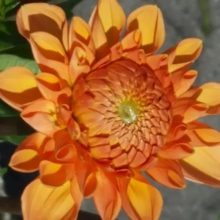 Zur Schmiede אלטנאו