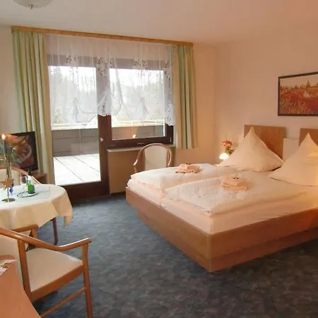 Отель Zur Schmiede 3*