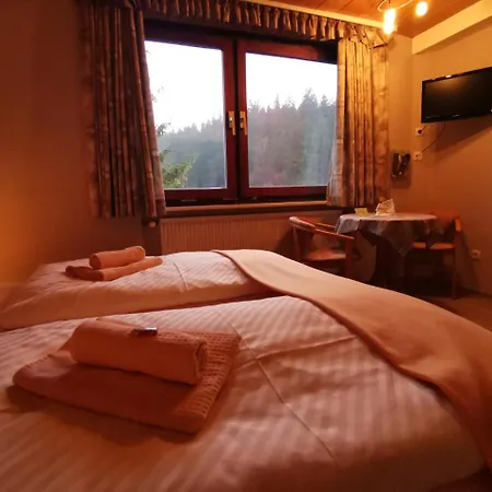 Отель Zur Schmiede