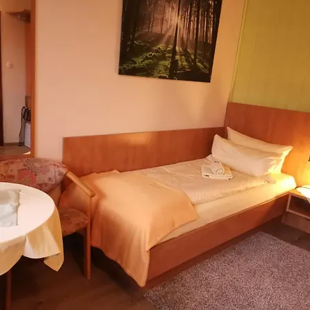 Hotel Zur Schmiede Altenau (Lower-Saxony)