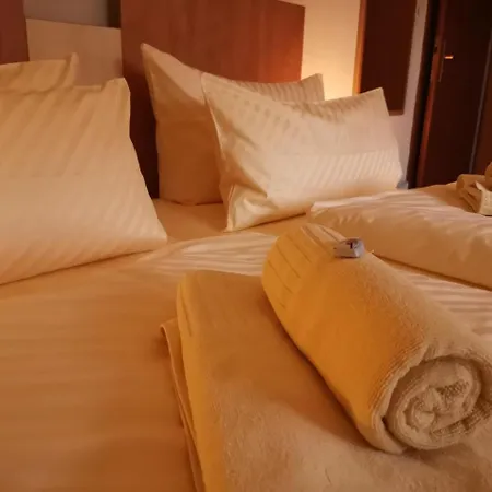 Zur Schmiede Отель 3*