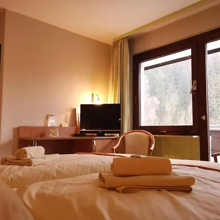 Отель Zur Schmiede