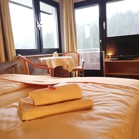 מלון Zur Schmiede 3*