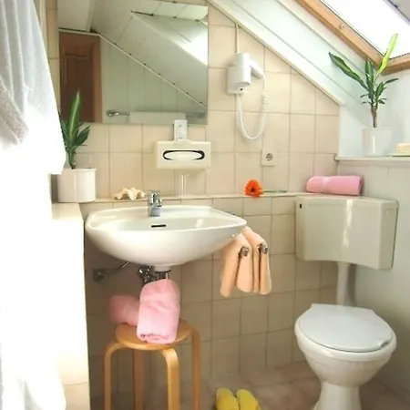 Zur Schmiede מלון