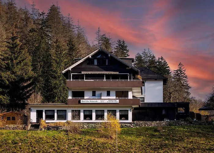 Zur Schmiede Hotel 3*