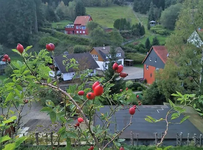 Zur Schmiede 3*