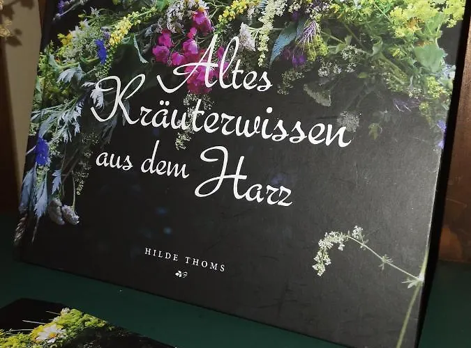 Zur Schmiede 3*