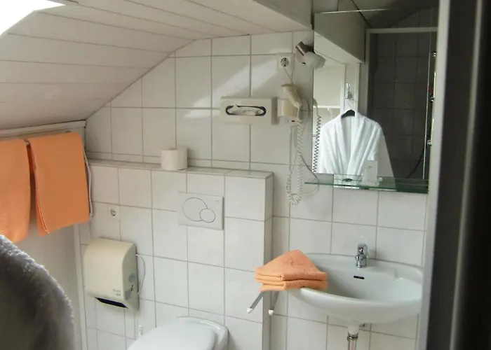 Hotel Zur Schmiede Altenau (Lower-Saxony)