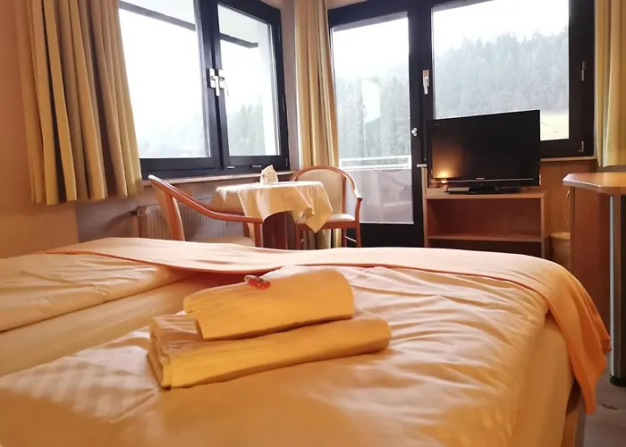Hotel Zur Schmiede 3*
